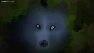 human and animals sex video